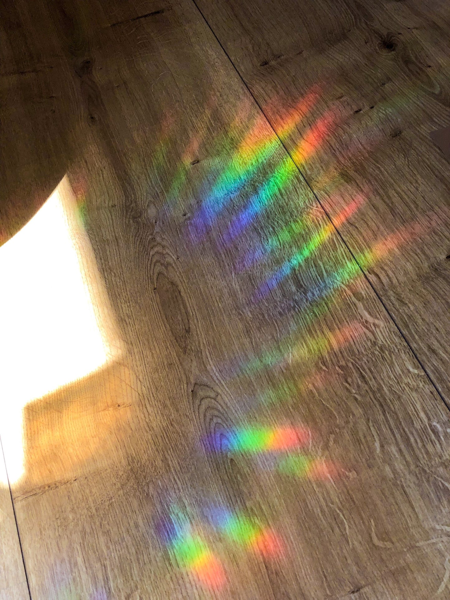 Suncatcher | Rainbow Maker | Taylor Swift | august