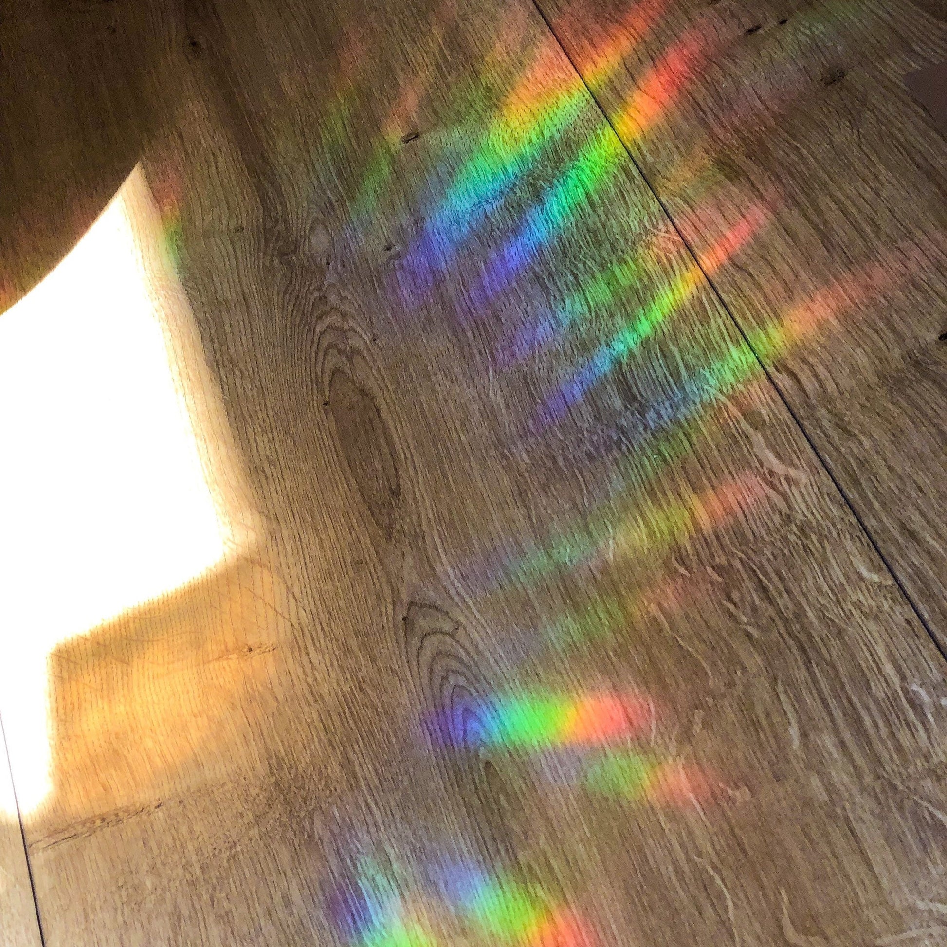 Suncatcher | Rainbow Maker | Taylor Swift Emblem